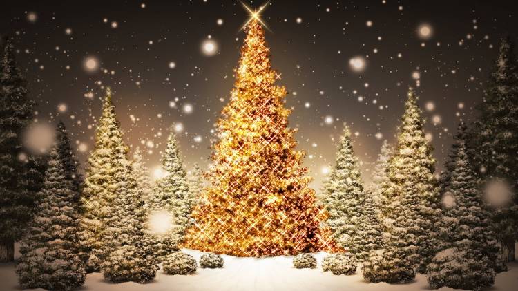 Christmas-Lights