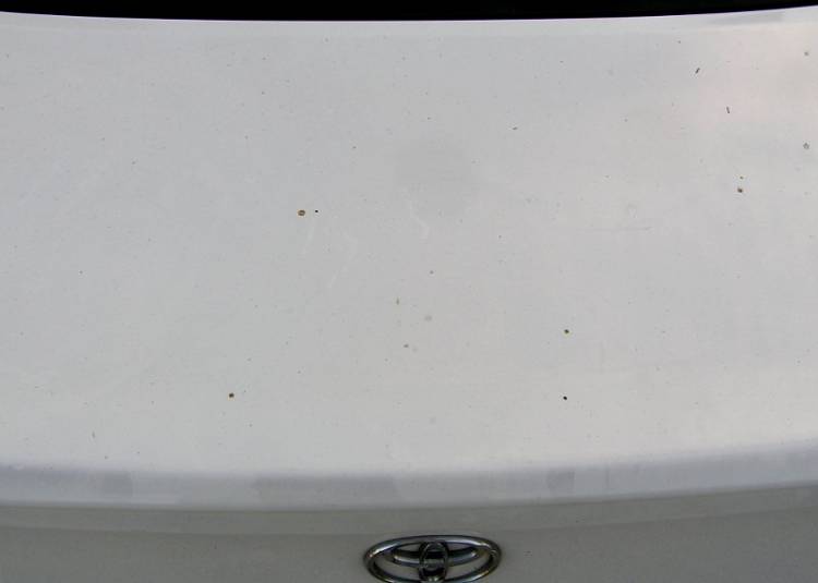 Before-1999_Trunk_Lid-8