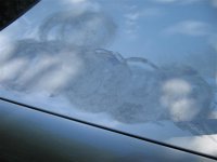 IMG_0254 (Small).JPG
