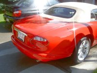 tn_PICT1795.JPG