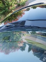 Hood Windsheild.JPG