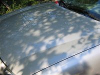 IMG_0257 (Small).JPG