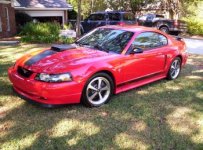 resizedmustang.jpg