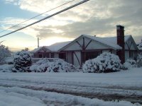 DSCF1290.jpg