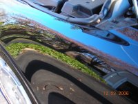 First Detail Job 027.jpg