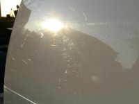 IMG_3018.jpg