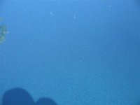 IMG_0589 (Medium).JPG
