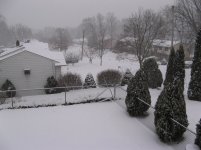 IMG_0809.jpg