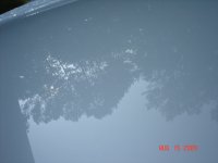 DSC03239.JPG