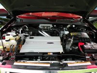 DSCN1218.jpg