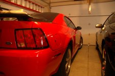 DSC_5431.JPG