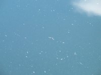 IMG_1149.jpg