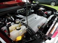 DSCN1221.jpg