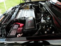 DSCN1223.jpg
