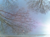 0404001306.jpg