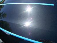 100_1181.jpg