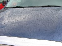 IMG_1963.JPG