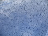 IMG_1965.JPG