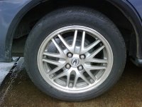 IMG00262-20100623-0916.jpg
