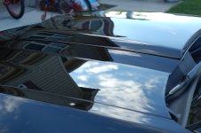 DSC_0168.JPG