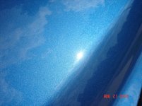 DSC03465.jpg
