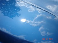 DSC03467.jpg