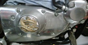 IMG00374-20100902-1059.jpg