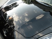 DSCN4552.jpg