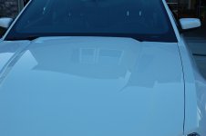 DSC_0383.JPG