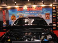 IMG_2205.JPG