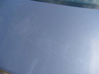 IMG_3593.JPG