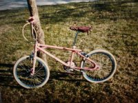 DSC00003 (Medium) (Custom).JPG