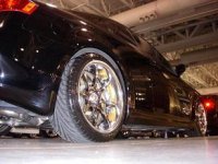 HIN Rear.jpg