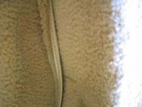 hatch carpet.jpg