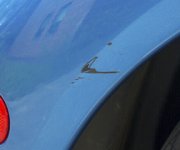 scrape.jpg