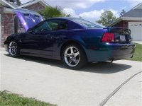 22 (4) (Medium) (Custom).JPG