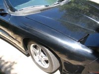 IMG_3157.jpg