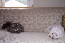 tn_HarringtonAnnieJun06.jpg