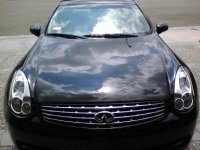 g351.JPG