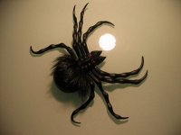 tn_IMG_0403.JPG
