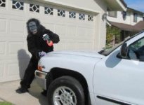 ape 299.JPG