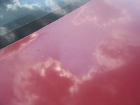IMG_0005.JPG