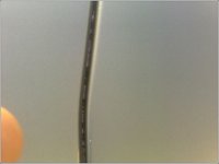 153564895877_3300.jpg