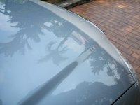 DSCF0843a.jpg