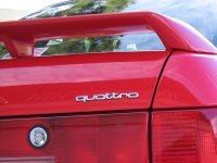 IMG_1083.1.JPG