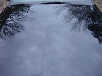 DSC01136aaa.jpg