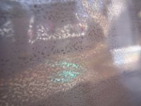 100_0077.jpg
