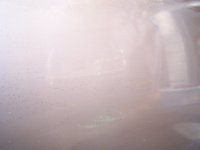 100_0078.jpg
