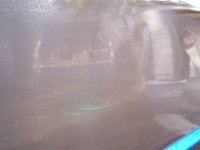 100_0079.jpg