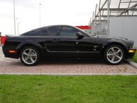 mustang1 (Large).JPG